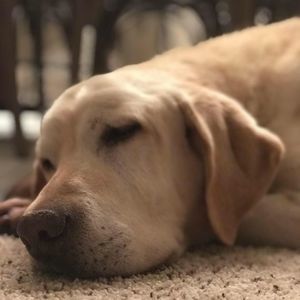 Meet your Posher, Fabiola